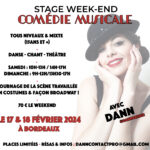 stage-comedie-musicale